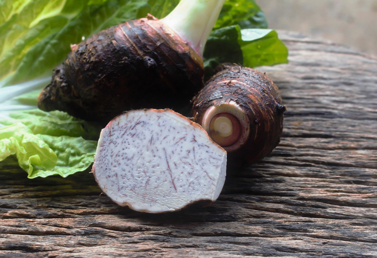 タロイモは移民達が持ち込んだ植物のひとつ。