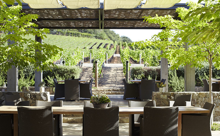 流麗で整然とした美しさがある葡萄畑。