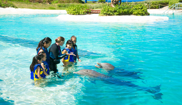 写真提供: <a href='https://www.hawaiisealifepark.jp/' target='_blank'>シーライフパーク・ハワイ</a>