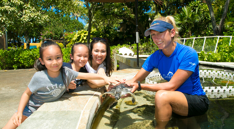 写真提供: <a href='https://www.hawaiisealifepark.jp/' target='_blank'>シーライフパーク・ハワイ</a>