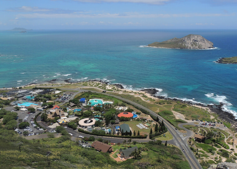 写真提供: <a href='https://www.hawaiisealifepark.jp/' target='_blank'>シーライフパーク・ハワイ</a>