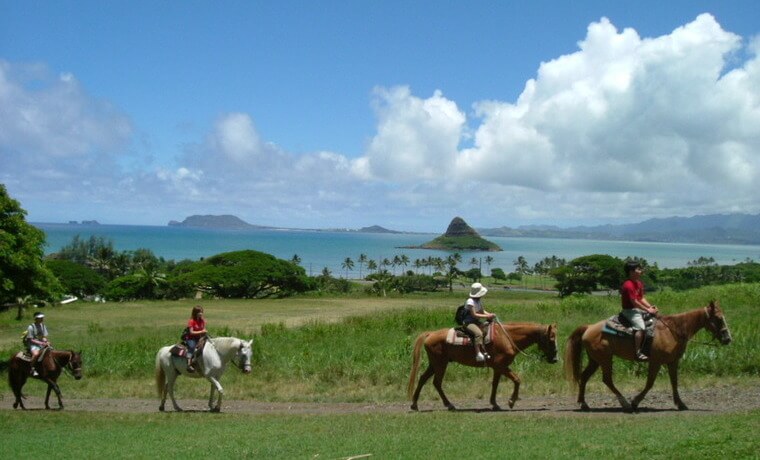 写真提供: <a href='https://www.kualoa.jp/' target='_blank'>Kualoa Ranch</a>