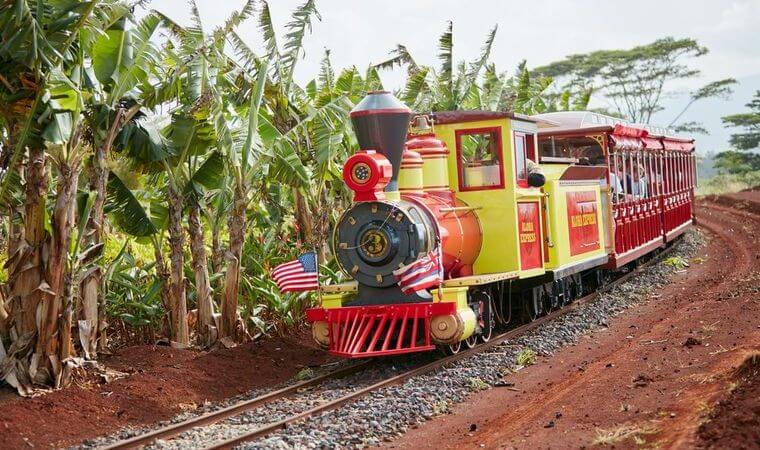 写真提供: <a href='https://doleplantation.com/jp/' target='_blank'>Dole Plantation</a>