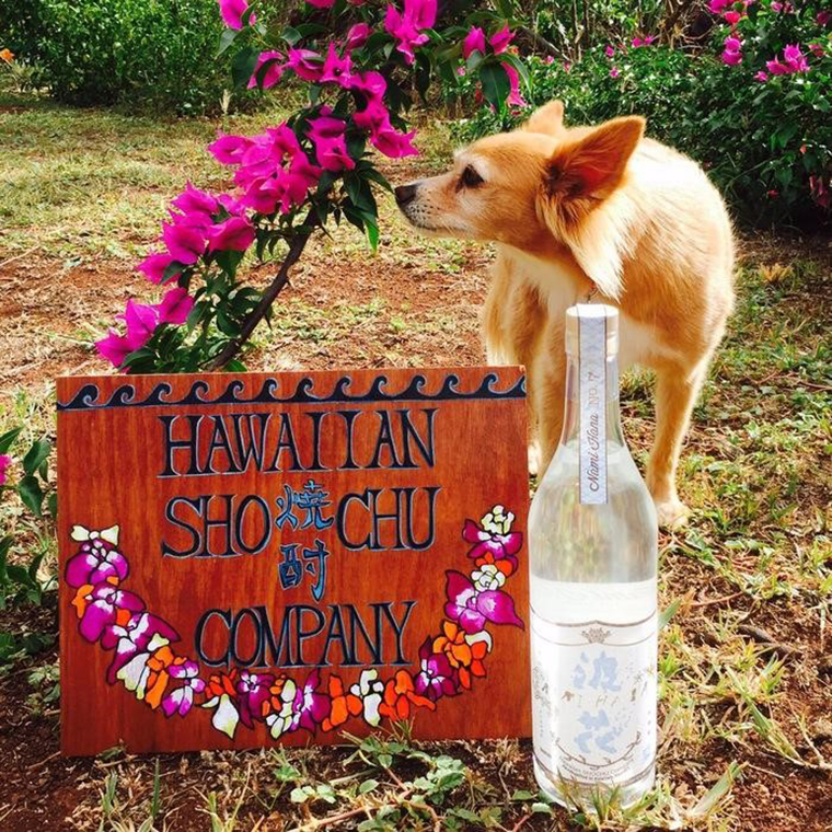 ハワイアン焼酎カンパニー「波花」＄40<br />
写真提供: ハワイアン焼酎カンパニー