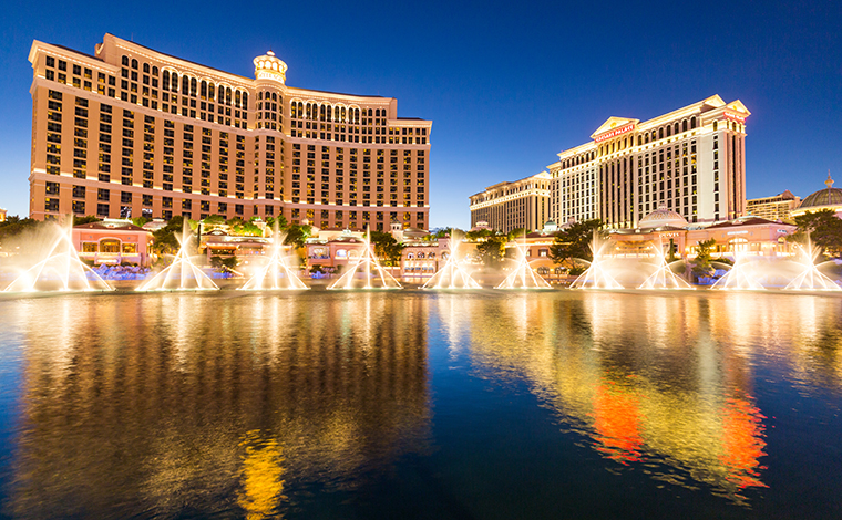 写真提供：Shutterstock.com