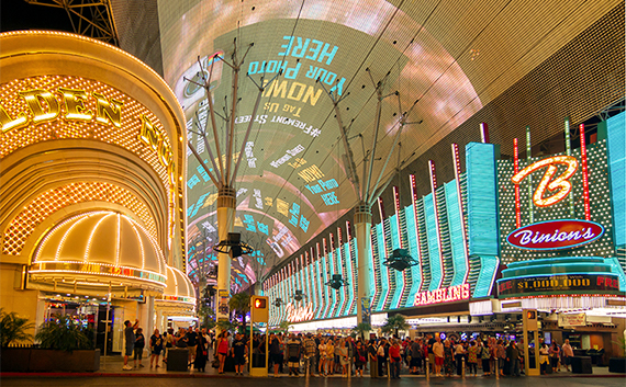 写真提供：Shutterstock.com