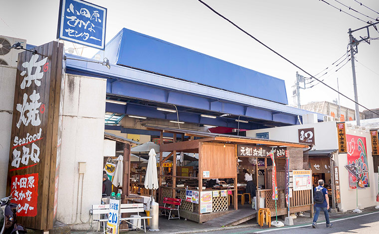 ザ・ベイフォレスト小田原・ヒルトンクラブから車で約10分の小田原さかなセンター。海産物の加工品や地場などが豊富にそろう。