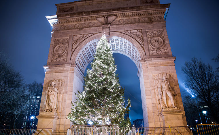 写真提供：stockelements / Shutterstock.com 