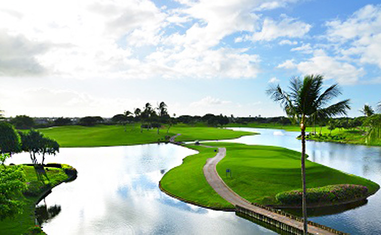 ・ライダーフィー（同乗者料金）を払ってプレー見学