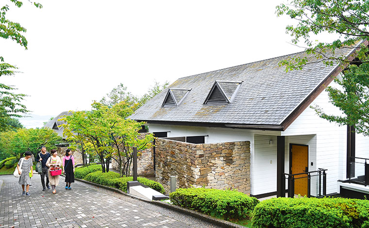 緑が繁る気持ちのいい遊歩道