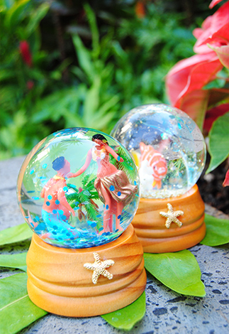 写真提供：ハレハナワイキキ