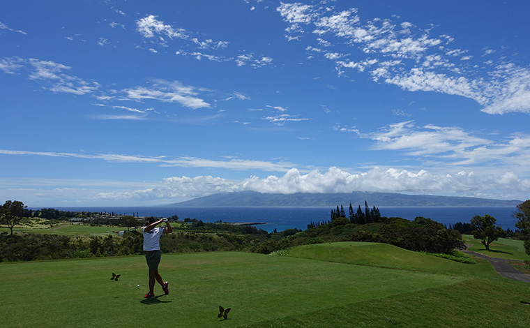 マウイ島カパルア・プランテーション