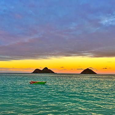 写真提供：@midohaya