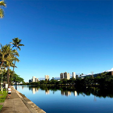 ワイキキの山側、アラワイ運河の光景