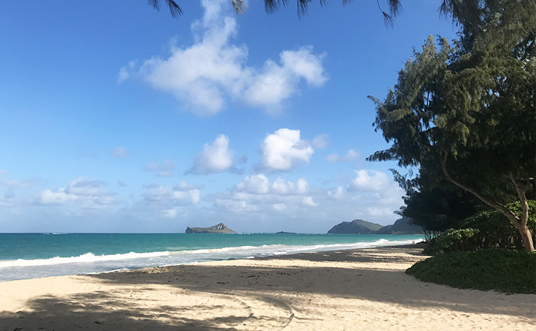 シャーウッドビーチ