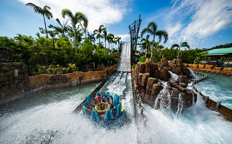 写真提供：Sea World® Orlando