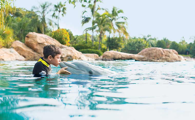 写真提供：Sea World® Orlando