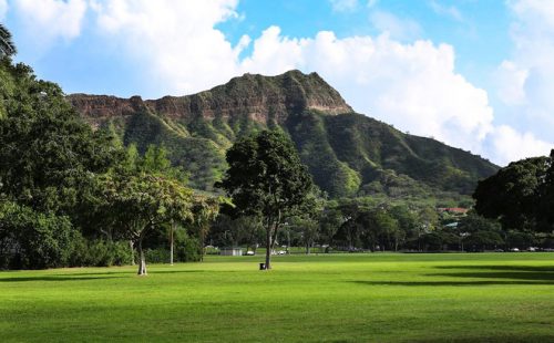 ミッチーおすすめ、ダイヤモンドヘッドとKCCファーマーズマーケットへ