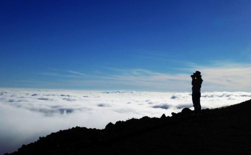 ミッチーがレポート！ 初めてでも迷わない、ハワイ島の定番観光スポット