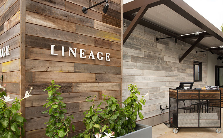 写真提供：Lineage