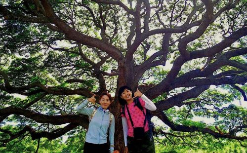 ハワイに次いで小田原も！「小田原の素晴らしさを皆さんにも届けたい」