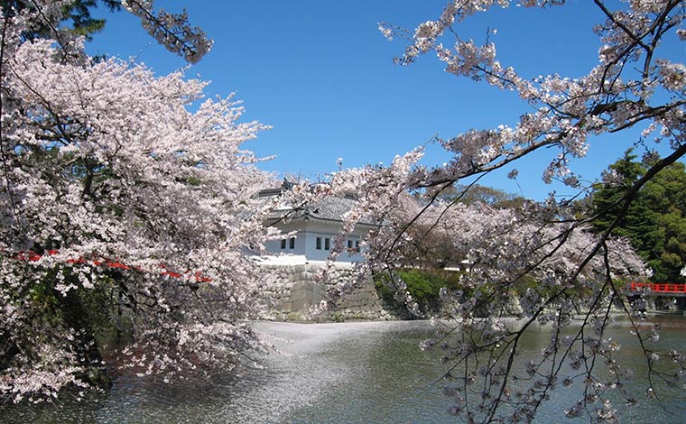 写真提供：小田原城総合管理事務所