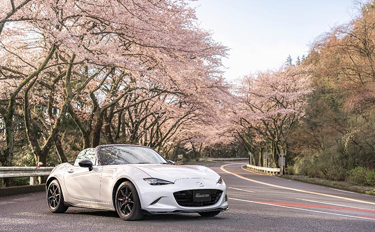 写真提供：アネスト岩田ターンパイク箱根