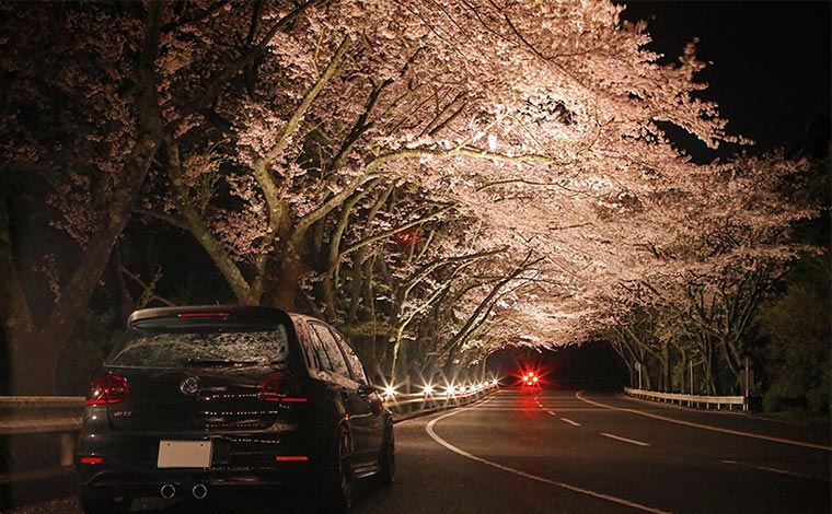 写真提供：アネスト岩田ターンパイク箱根