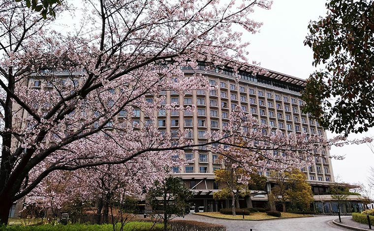 写真提供：ヒルトン小田原リゾート＆スパ