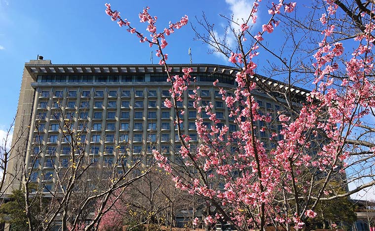 写真提供：ヒルトン小田原リゾート＆スパ