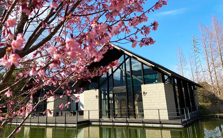 写真提供：ザ・ベイフォレスト小田原・ヒルトンクラブ