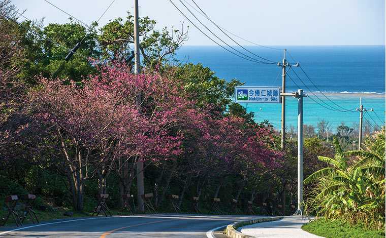 写真提供：©OCVB