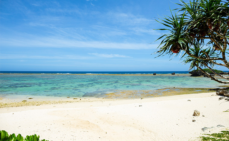 未舗装の枝分かれした道を右に行くとたどり着く天然のビーチ。