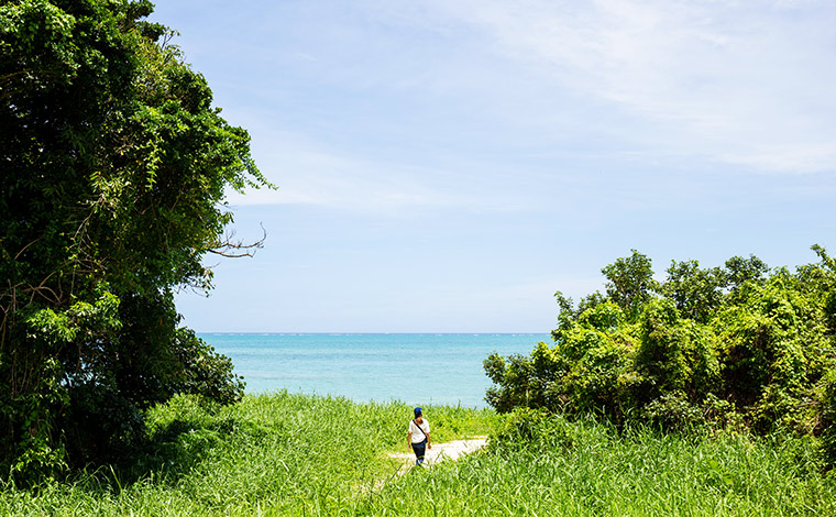 その昔、神が降り立ち国づくりをはじめたとされる百名ビーチ。