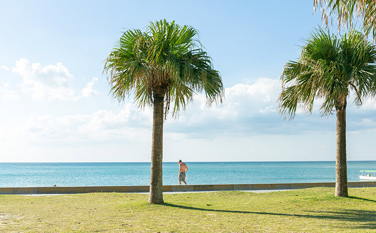 外国人客も多く、異国情緒が味わえるアラハビーチ。