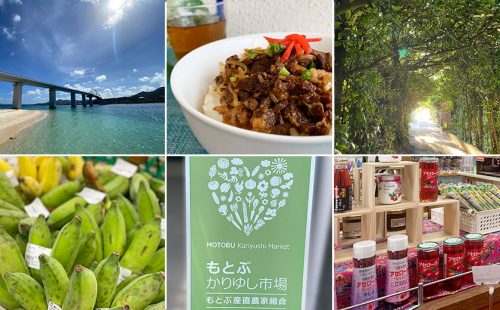 【 2021年沖縄・お土産】旅のおすすめ特産品ギフトをご紹介！瀬底島 本部町編