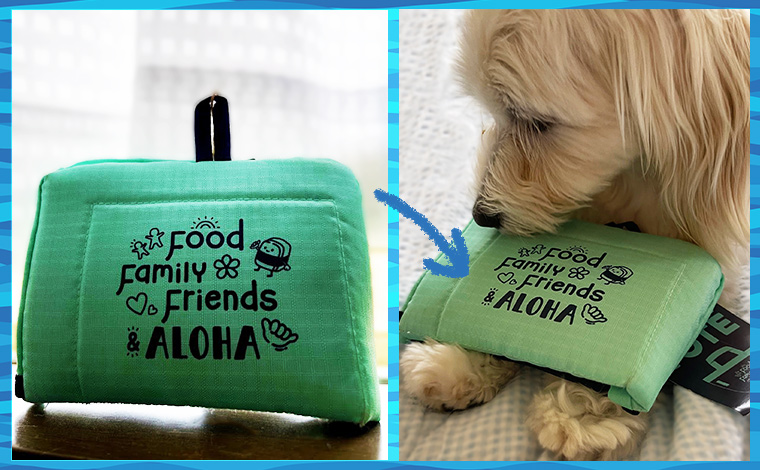 （愛犬のお散歩にもちょうど良いコンパクトなフードランドエコバッグ）