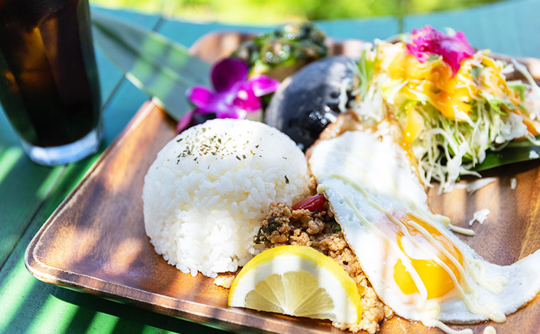 写真提供：Sesoko Masayuki