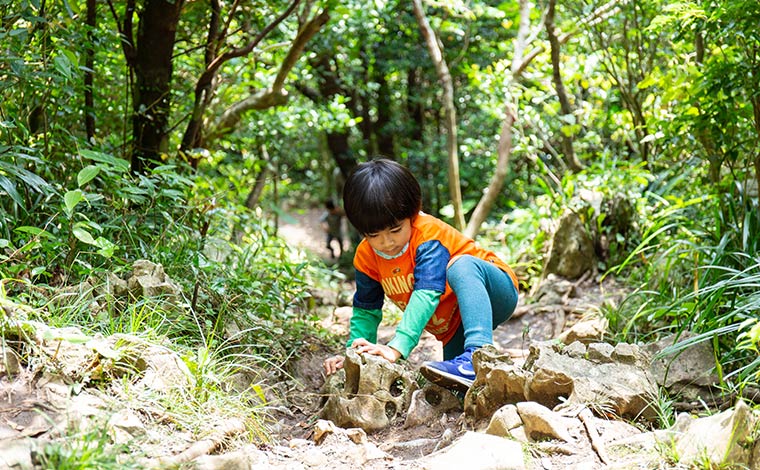 写真提供：Sesoko Masayuki 