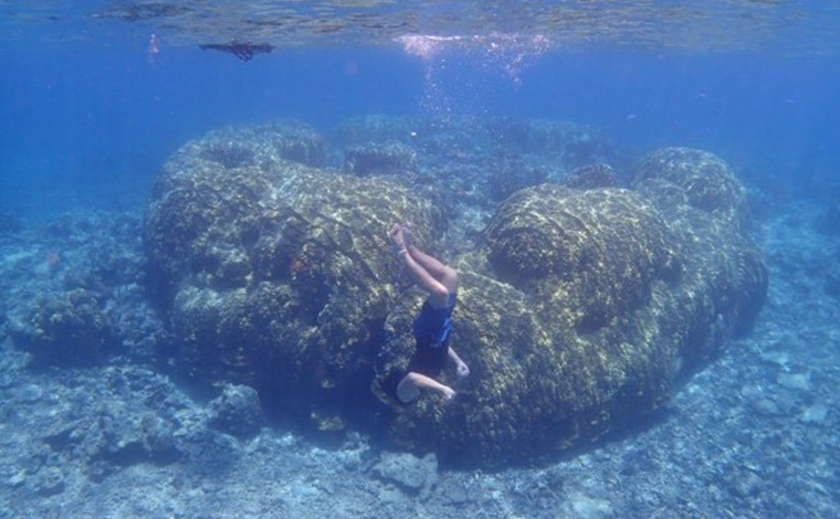 写真提供：Sesoko Activity Space