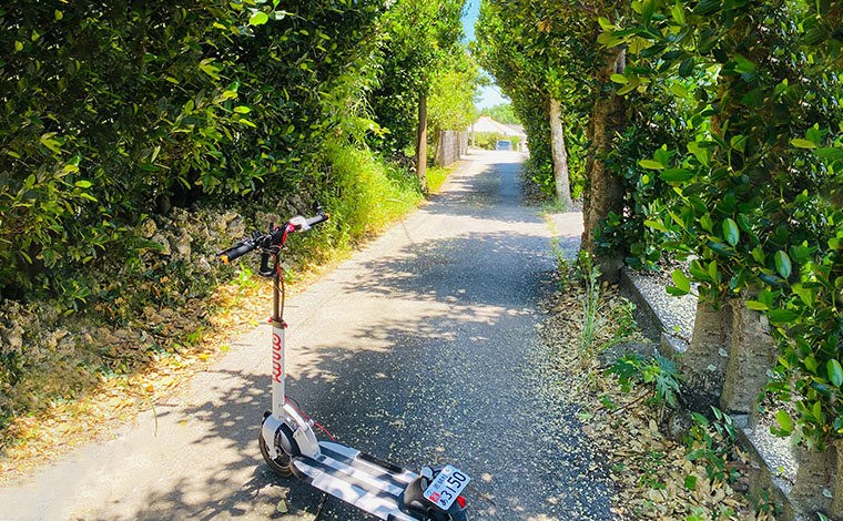 写真提供：Sesoko Activity Space