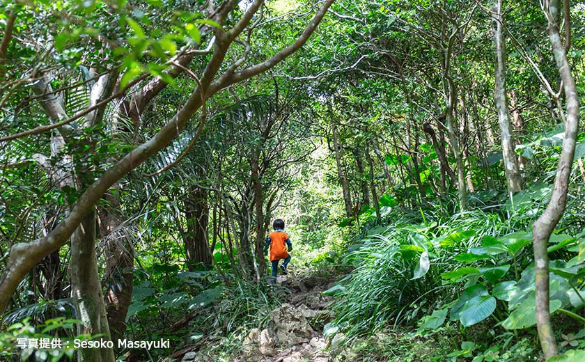 沖縄定番観光地から絶景&自然満喫の旅