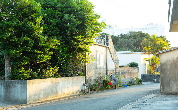 写真提供：Sesoko Masayuki