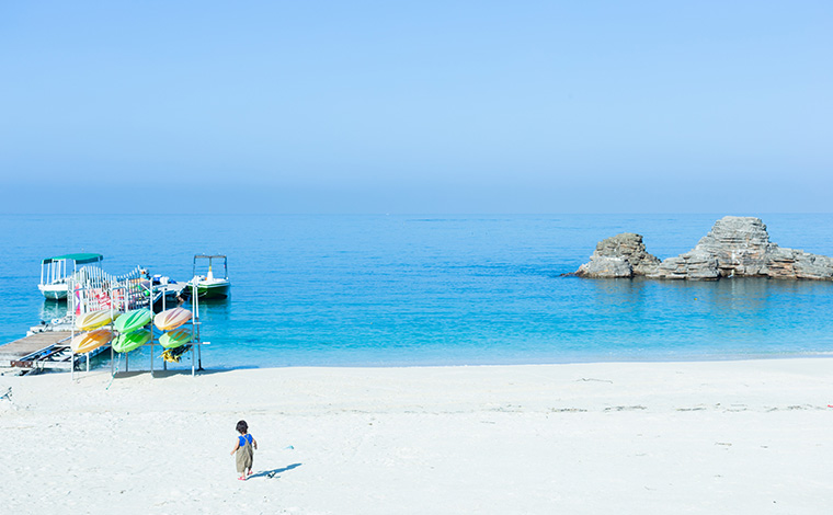 写真提供：Sesoko Masayuki