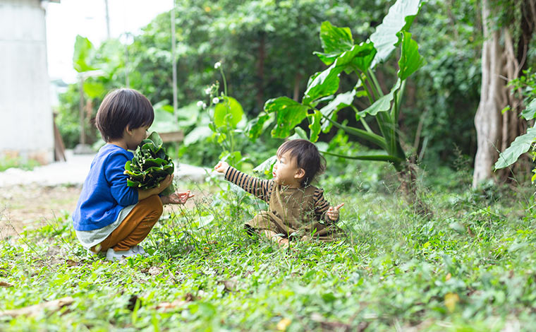 写真提供：Sesoko Masayuki