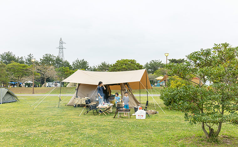 写真提供：Sesoko Masayuki