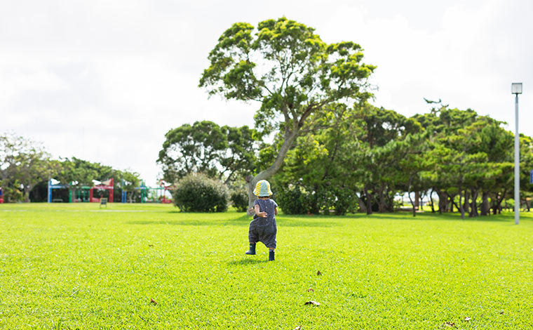 写真提供：Sesoko Masayuki