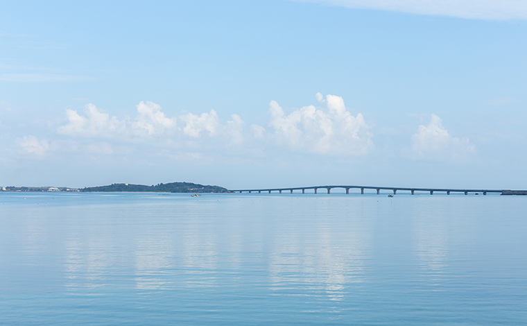 写真提供：Sesoko Masayuki