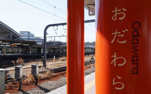 新たな魅力を再発見！ 小田原のニュースポット