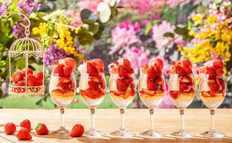 写真提供：ヒルトン小田原リゾート&スパ